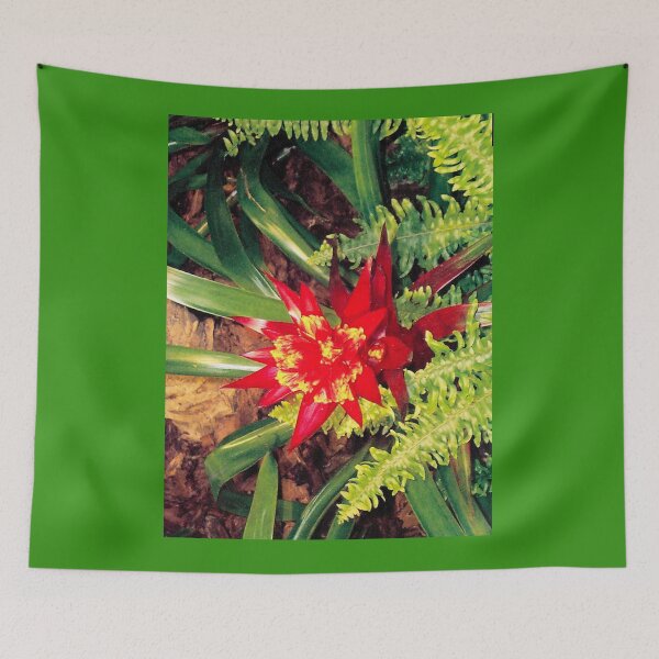 Item preview, Orange Succluent Flower designed and sold by Monika's Shop.
