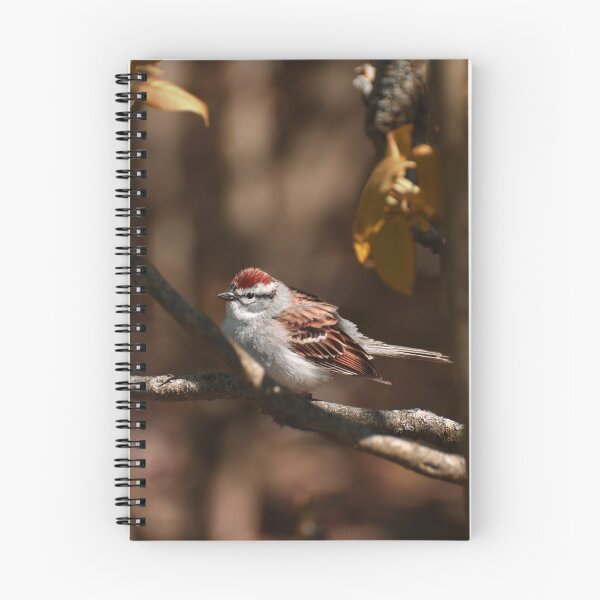 Item preview, Chipping Sparrow designed and sold by Veronica Pollock.