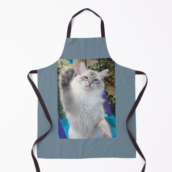 Artikelvorschau, Saoirse der Luchs Ragdoll entworfen und verkauft von Fluffycat2020.
