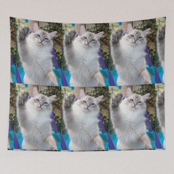 Aperçu de l'œuvre Saoirse le lynx ragdoll créée et vendue par Fluffycat2020.