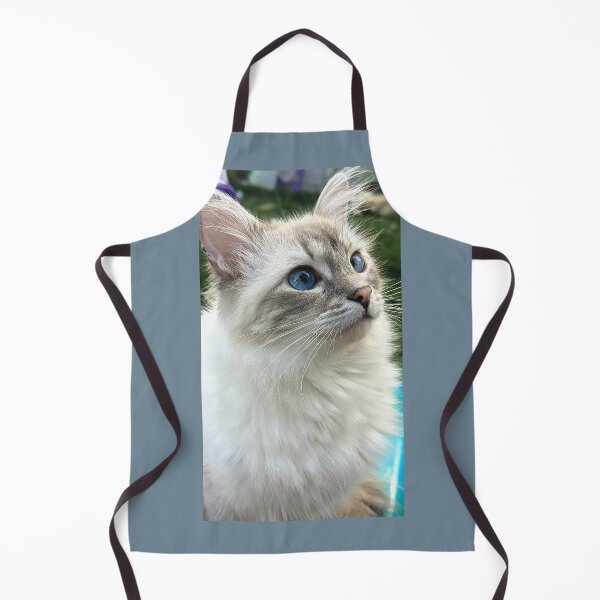 Artikelvorschau, Saoirse der Luchs Ragdoll entworfen und verkauft von Fluffycat2020.