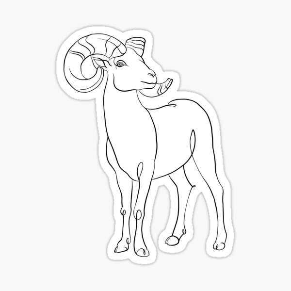 Bighorn sheep Sticker