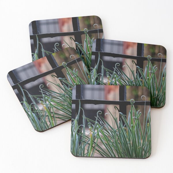 Item preview, Succulents in a window designed and sold by Cat Calhoun.