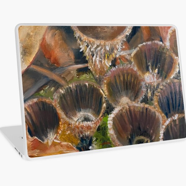 Birds Nest Fungi Nidulariaceae Laptop Skin