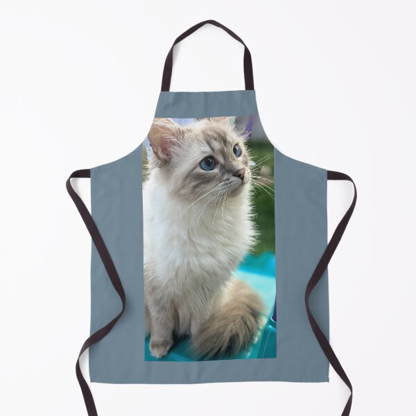 Artikelvorschau, Saoirse der Luchs Ragdoll entworfen und verkauft von Fluffycat2020.