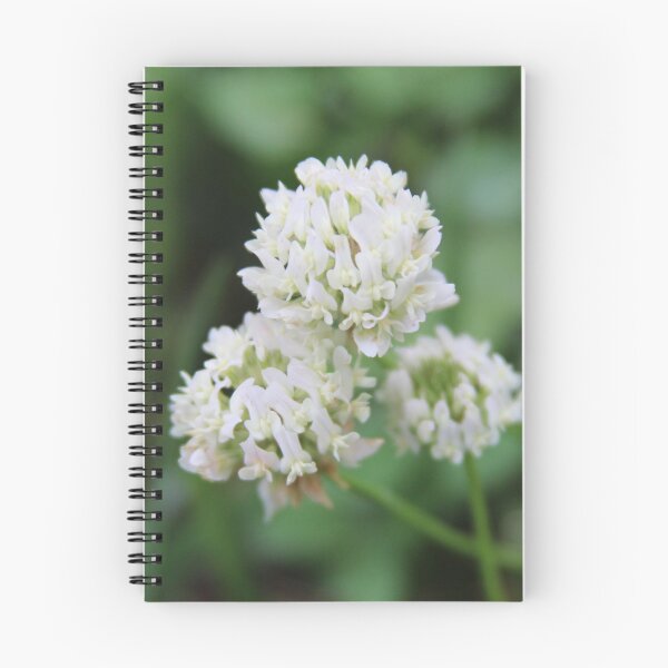 Item preview, White Clover Photographic Image designed and sold by AustaArt.