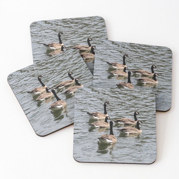 Item preview, We Left Canada To Live Here in San Diego! designed and sold by heatherfriedman.
