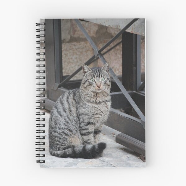 Item preview, Contemplating Cat designed and sold by SHhhhhdesigns.