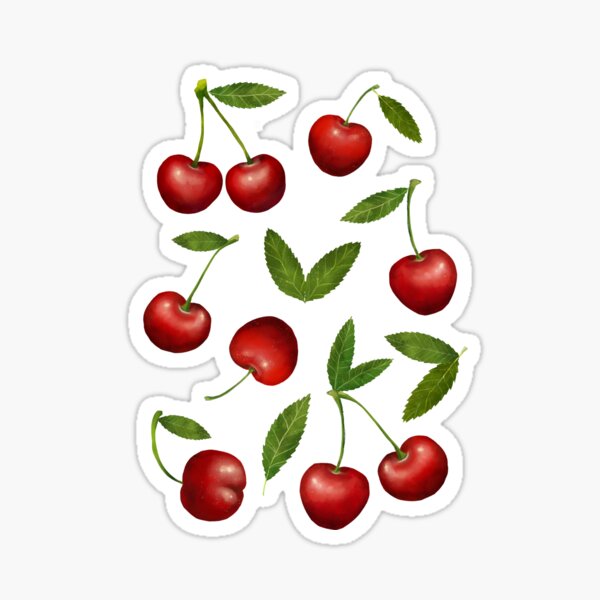 Sticker Maraschino Kirsche Redbubble