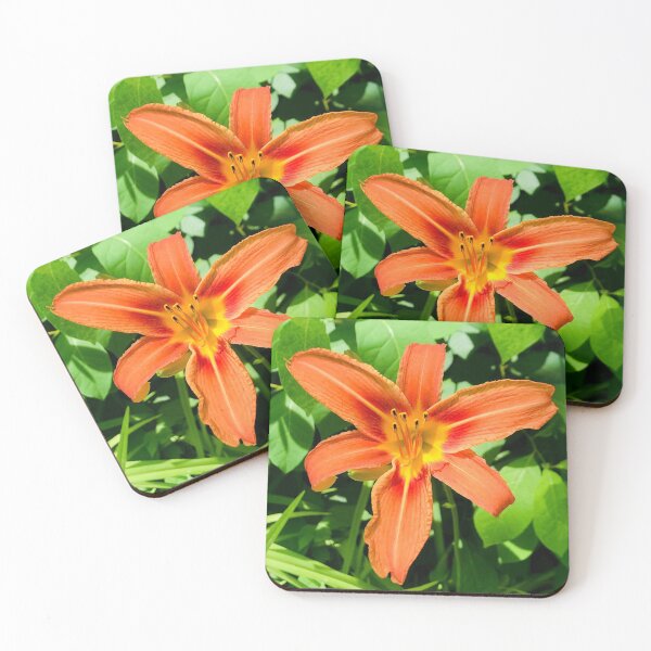 Item preview, Brilliant Orange Day Lily designed and sold by BRP-SHOP.