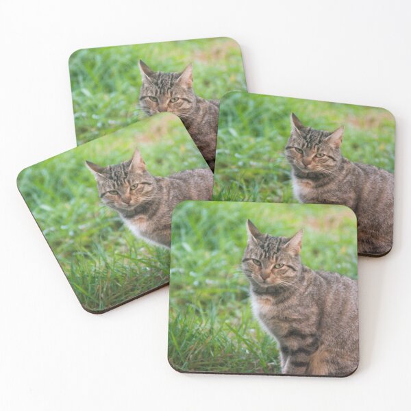 Item preview, olb feline designed and sold by pcfyi.