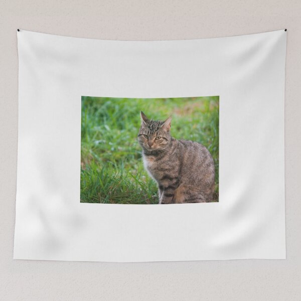 Item preview, olb feline designed and sold by pcfyi.