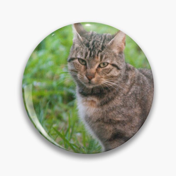 Artikelvorschau, alte Katze entworfen und verkauft von pcfyi.