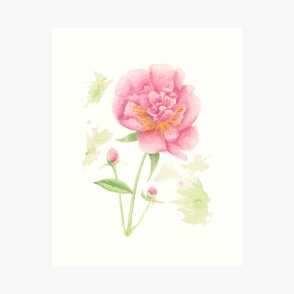 Item preview, Peony Flower Watercolor Painting designed and sold by H2OColor.