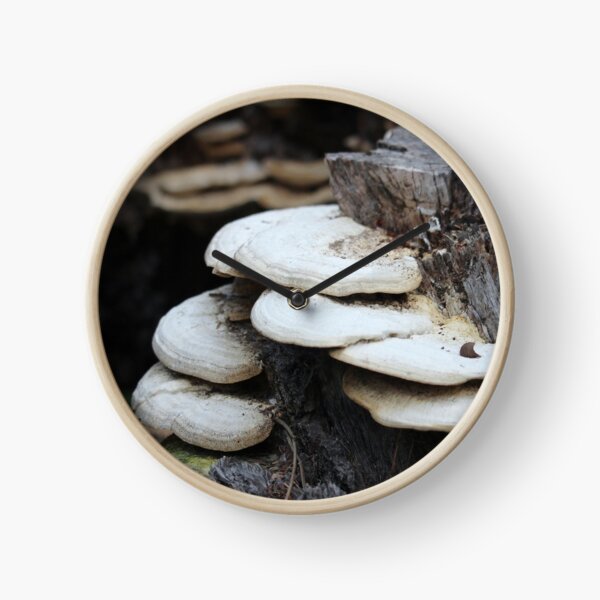 Item preview, Tree Stump Mushrooms designed and sold by Cynthia48.