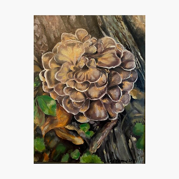 Hen of the Woods - Grifola Frondosa Photographic Print