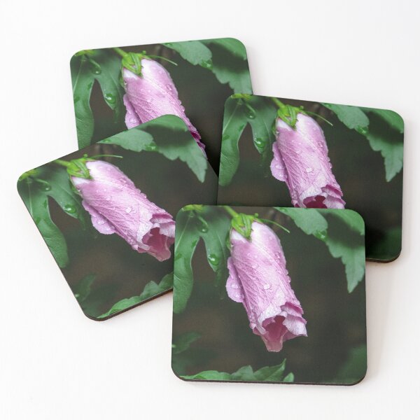 Item preview, Memory of a Morning Rain designed and sold by SRosuphotos.