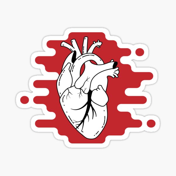 Beating Anatomical Heart Sticker