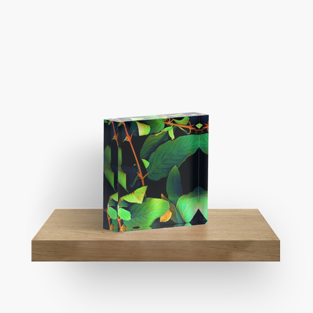 Item preview, Acrylic Block designed and sold by LindasPhotoArt.