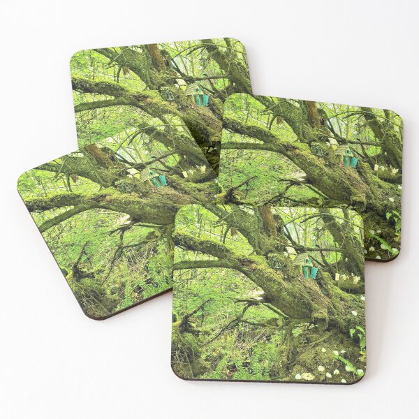 Item preview, Fairy Garden designed and sold by Cassidilla33.