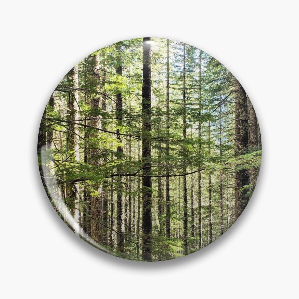 Item preview, Looking Through the Forest designed and sold by Cassidilla33.