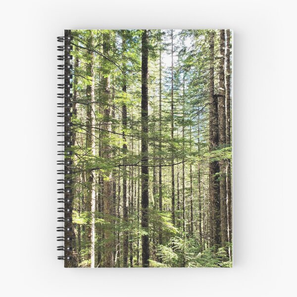 Item preview, Looking Through the Forest designed and sold by Cassidilla33.