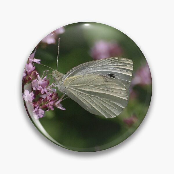 Item preview, Pieris Rapae designed and sold by Lanis Rossi.