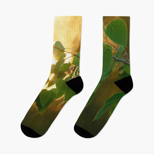 Item preview, Sunset in The Trees designed and sold by Natural-Habitat.