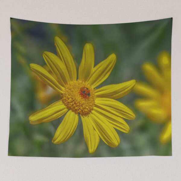 Item preview, Ladybug on Daisy painted effect, Lady bug on yellow daisy designed and sold by naturecdesigns.
