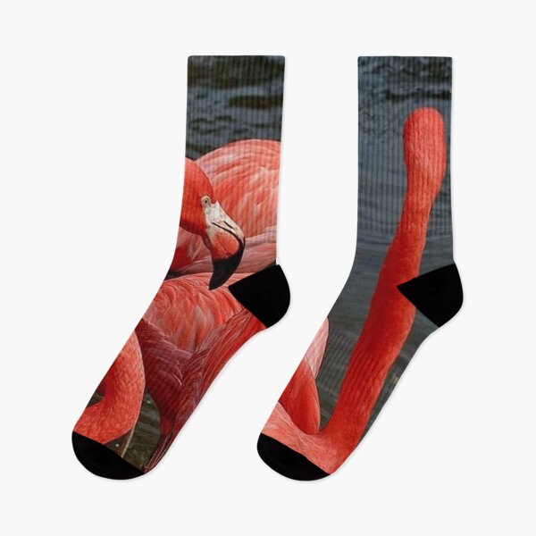 Item preview, Red Flamingo designed and sold by MorningFive.