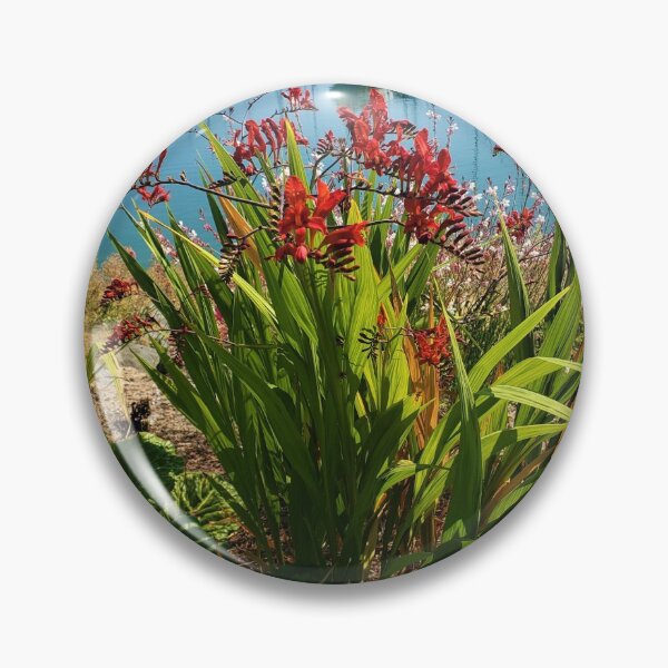 Item preview, Crocosmia Lucifer at the Marina designed and sold by Cassidilla33.