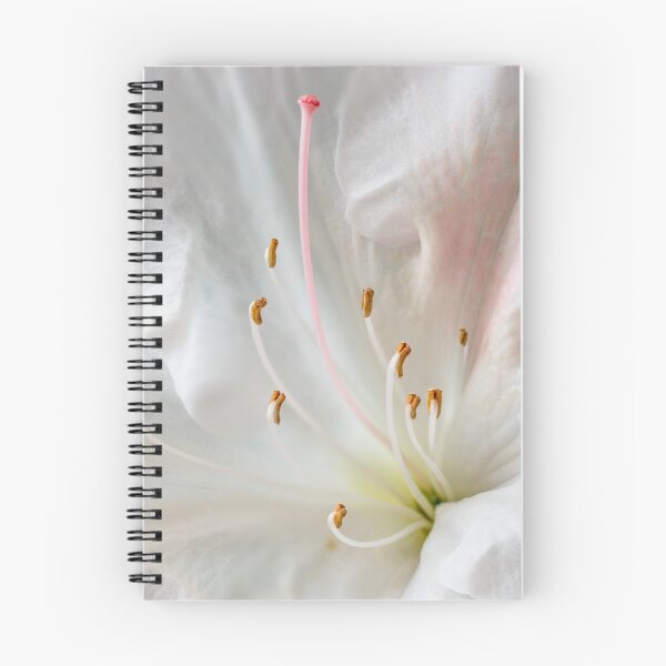 Item preview, Pink and White Azalea designed and sold by pcbermagui.