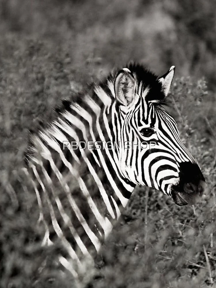 Thumbnail 4 of 4, iPhone Case, Zebra designed and sold by RBDESIGN SHOP.
