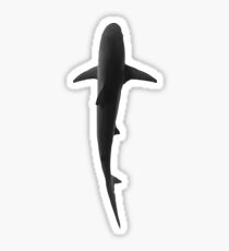 Shark Sticker