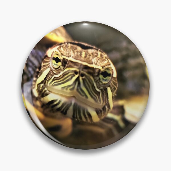 Item preview, Leonardo the Turtle designed and sold by Cassidilla33.