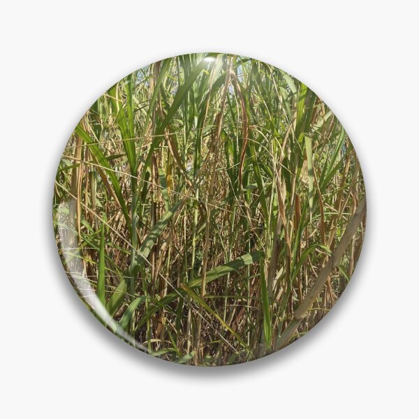 Item preview, Different Coloured Tall Grass designed and sold by Sinemathk.
