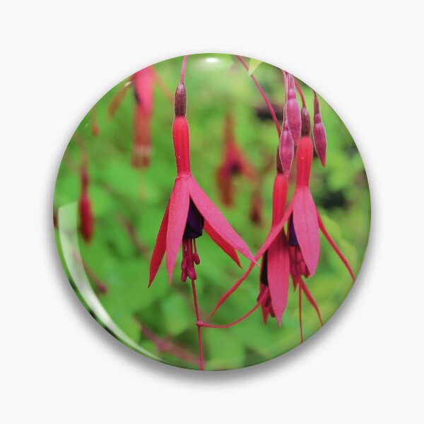 Item preview, Fuchsia Magellanica designed and sold by Cassidilla33.