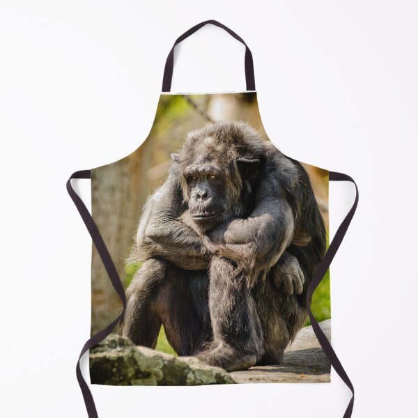 Item preview, Old Monkey designed and sold by RBDESIGN SHOP.