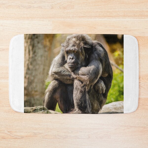 Item preview, Old Monkey designed and sold by RBDESIGN SHOP.