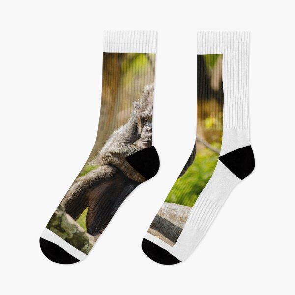 Item preview, Old Monkey designed and sold by RBDESIGN SHOP.