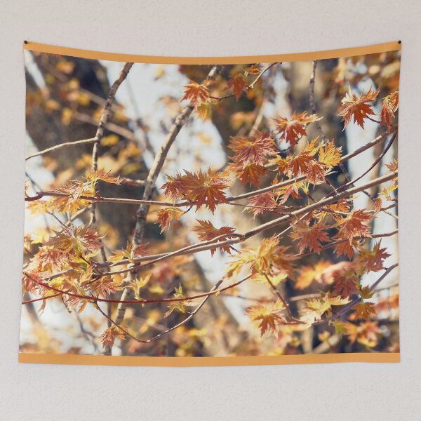 Item preview, Early Maple Leaves designed and sold by Natural-Habitat.