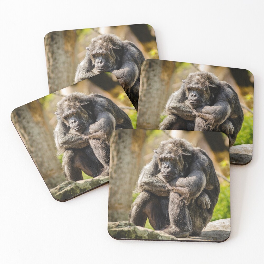 Item preview, Coasters (Set of 4) designed and sold by RBCOOLSHOP.