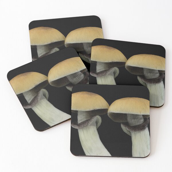 Item preview, Psilocybe cubensis designed and sold by BiosecurityColl.