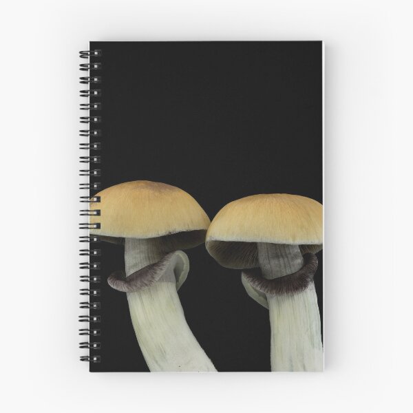 Item preview, Psilocybe cubensis designed and sold by BiosecurityColl.