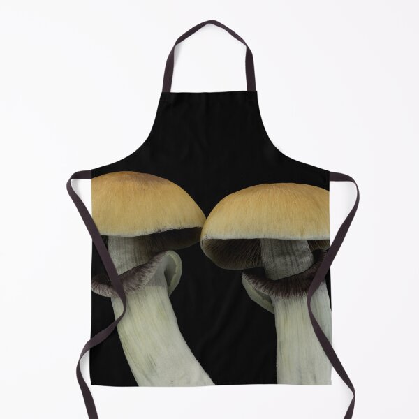 Item preview, Psilocybe cubensis designed and sold by BiosecurityColl.
