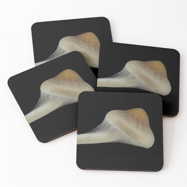 Item preview, Psilocybe subaeruginosa designed and sold by BiosecurityColl.