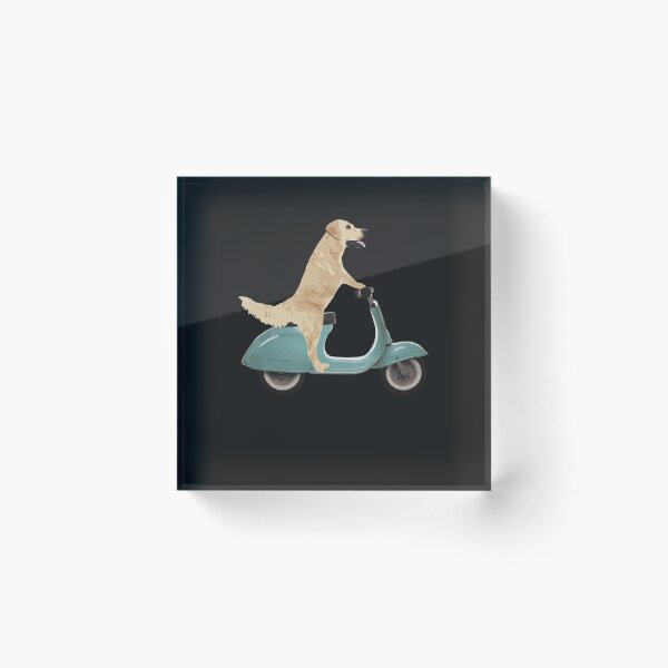 Item preview, Dog on a Scooter Funny Labrador Pullover Hoodie designed and sold by marshapgp.