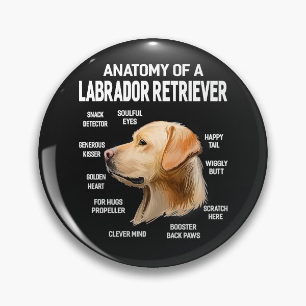Item preview, Dogs 365 Anatomy of a Labrador Retriever Dog Funny Gift Premium designed and sold by marshapgp.
