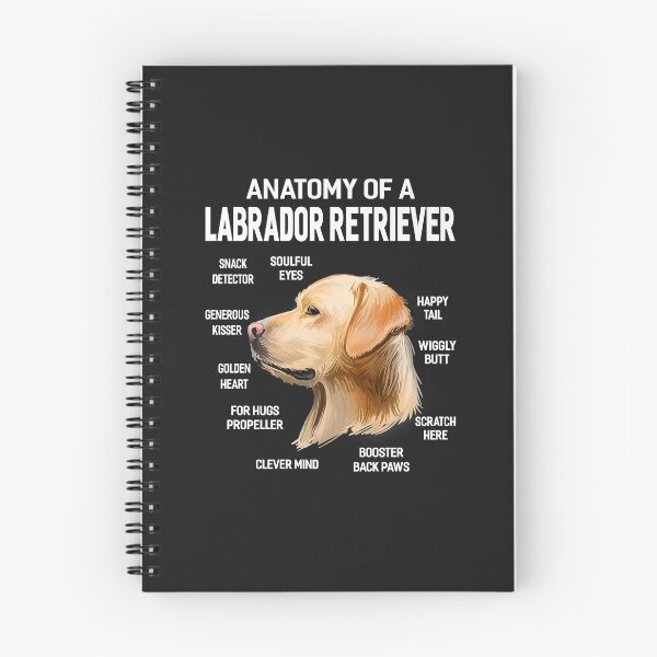 Item preview, Dogs 365 Anatomy of a Labrador Retriever Dog Funny Gift Premium designed and sold by marshapgp.