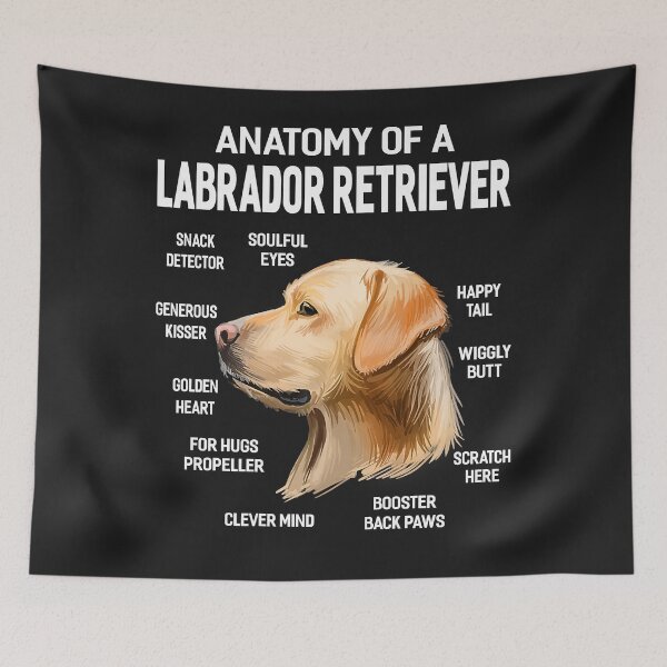 Item preview, Dogs 365 Anatomy of a Labrador Retriever Dog Funny Gift Premium designed and sold by marshapgp.